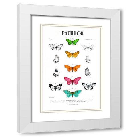 Papillion White Modern Wood Framed Art Print with Double Matting by Donovan, Kelly