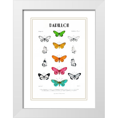 Papillion White Modern Wood Framed Art Print with Double Matting by Donovan, Kelly