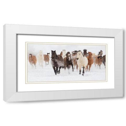 Pasture Run White Modern Wood Framed Art Print with Double Matting by Delimont, Danita