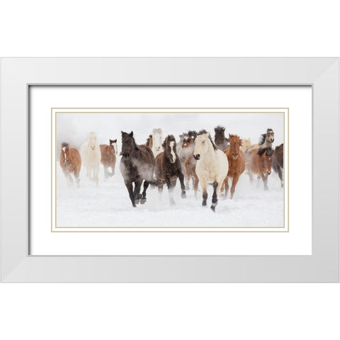 Pasture Run White Modern Wood Framed Art Print with Double Matting by Delimont, Danita