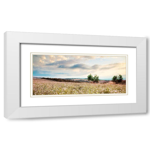 Tuscan White Modern Wood Framed Art Print with Double Matting by Delimont, Danita