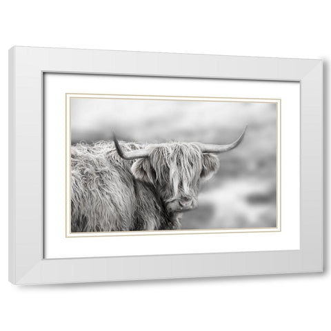 Roaming Isle of Skye White Modern Wood Framed Art Print with Double Matting by Delimont, Danita