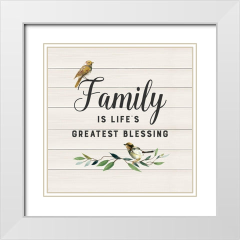 Family Birds White Modern Wood Framed Art Print with Double Matting by Robinson, Carol