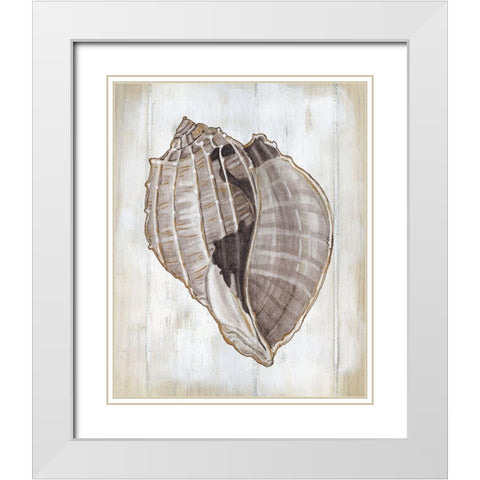 Ocean Cone II White Modern Wood Framed Art Print with Double Matting by Robinson, Carol