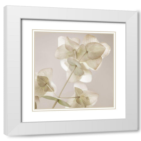 Soft Wild Bloom White Modern Wood Framed Art Print with Double Matting by Delimont, Danita