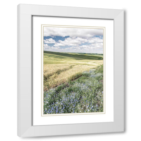 Wildflower Farm White Modern Wood Framed Art Print with Double Matting by Delimont, Danita