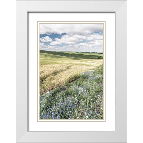 Wildflower Farm White Modern Wood Framed Art Print with Double Matting by Delimont, Danita