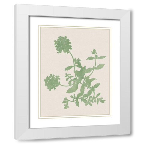 Vintage Garden II White Modern Wood Framed Art Print with Double Matting by Jill, Susan