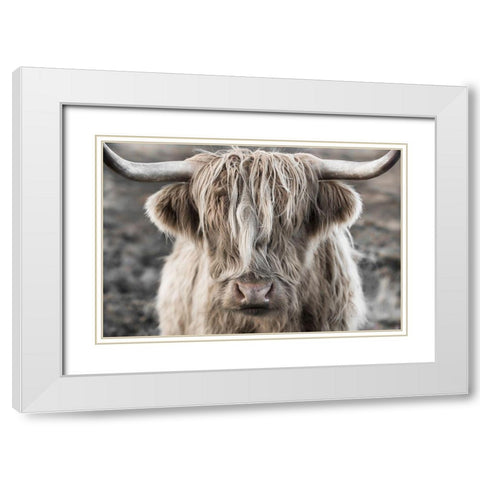 Highland Skye White Modern Wood Framed Art Print with Double Matting by Delimont, Danita
