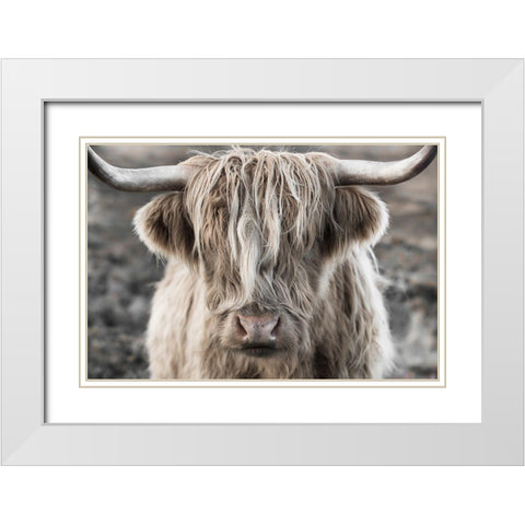 Highland Skye White Modern Wood Framed Art Print with Double Matting by Delimont, Danita