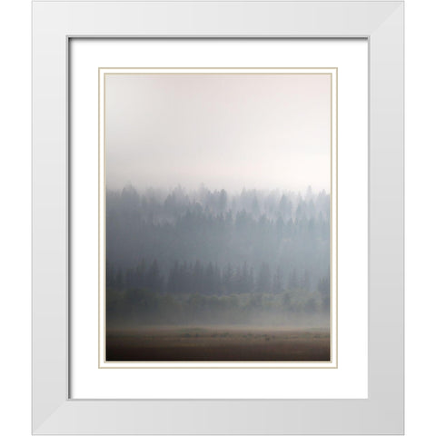 Morning Glow II White Modern Wood Framed Art Print with Double Matting by Robinson, Carol