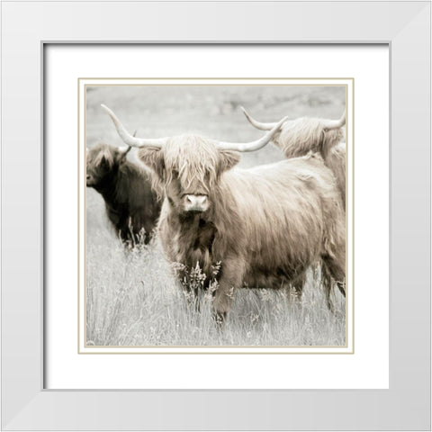 Highland Gathering White Modern Wood Framed Art Print with Double Matting by Delimont, Danita