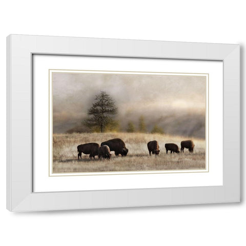 Ridge Grazing White Modern Wood Framed Art Print with Double Matting by Delimont, Danita
