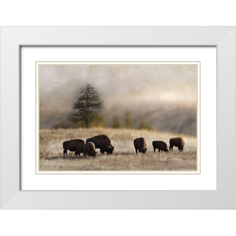 Ridge Grazing White Modern Wood Framed Art Print with Double Matting by Delimont, Danita
