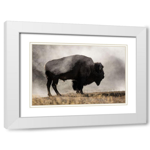 Geyser Basin White Modern Wood Framed Art Print with Double Matting by Delimont, Danita