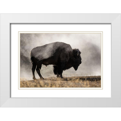 Geyser Basin White Modern Wood Framed Art Print with Double Matting by Delimont, Danita