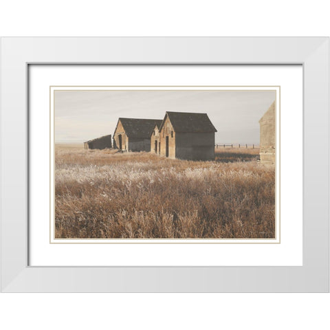 The Old Farm White Modern Wood Framed Art Print with Double Matting by Robinson, Carol