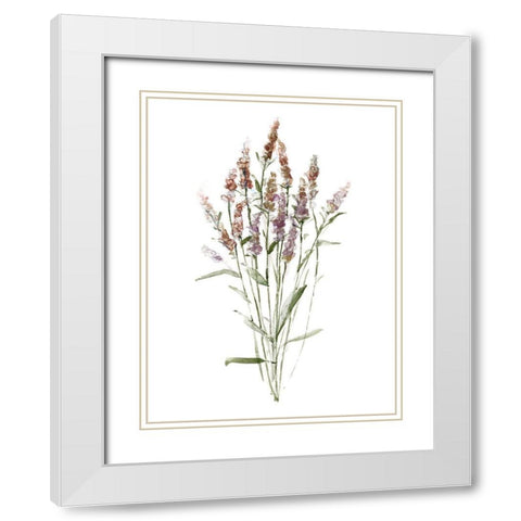 Dainty Botanical III White Modern Wood Framed Art Print with Double Matting by Swatland, Sally