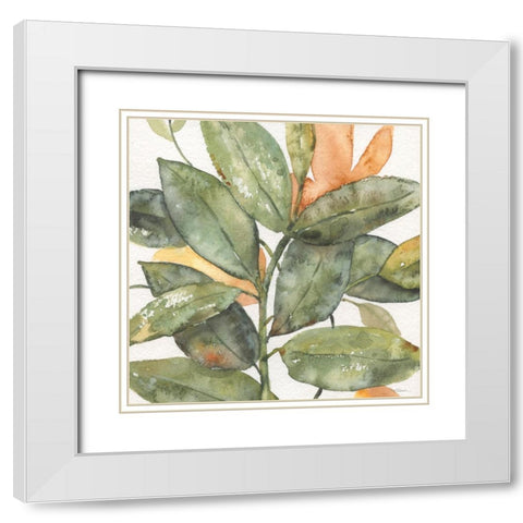 Plantlife I White Modern Wood Framed Art Print with Double Matting by Robinson, Carol