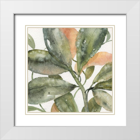 Plantlife II White Modern Wood Framed Art Print with Double Matting by Robinson, Carol