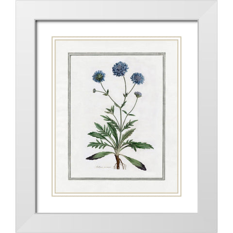 Soft Botanical II White Modern Wood Framed Art Print with Double Matting by CAD Designs