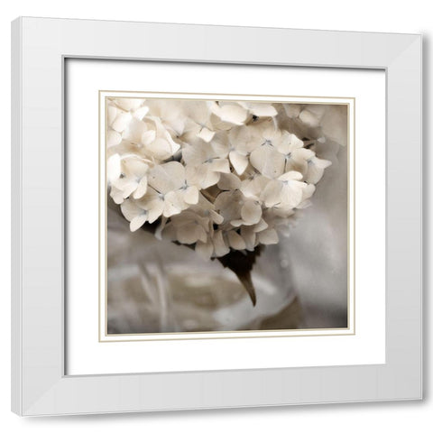 Sugar Hdrangea I White Modern Wood Framed Art Print with Double Matting by Weisz, Irene