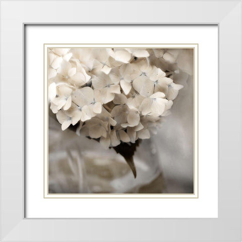 Sugar Hdrangea I White Modern Wood Framed Art Print with Double Matting by Weisz, Irene