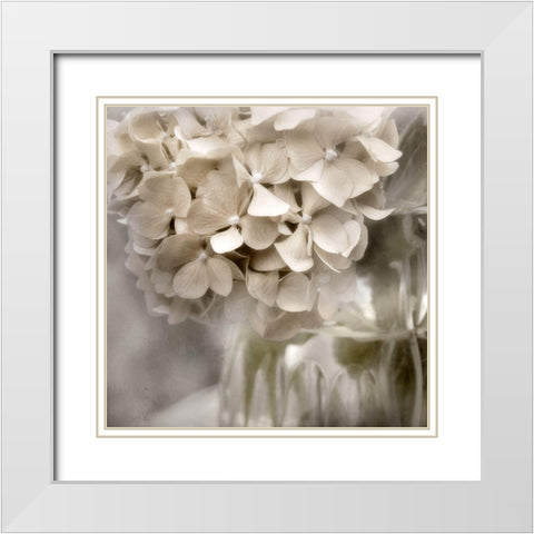 Sugar Hydrangea II White Modern Wood Framed Art Print with Double Matting by Weisz, Irene