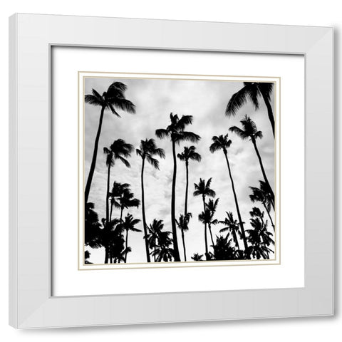 Palm Skies White Modern Wood Framed Art Print with Double Matting by Carpentieri, Natalie