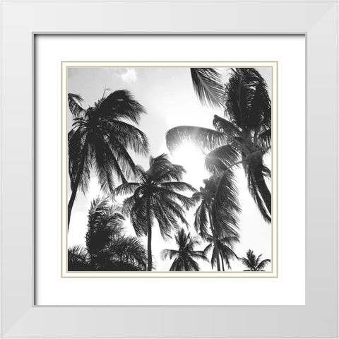 Caribbean Palms White Modern Wood Framed Art Print with Double Matting by Carpentieri, Natalie