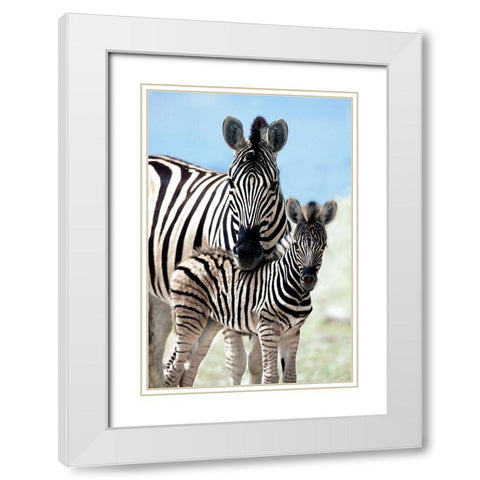 Family of Namibia White Modern Wood Framed Art Print with Double Matting by Delimont, Danita