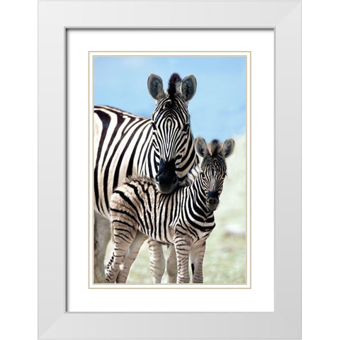 Family of Namibia White Modern Wood Framed Art Print with Double Matting by Delimont, Danita