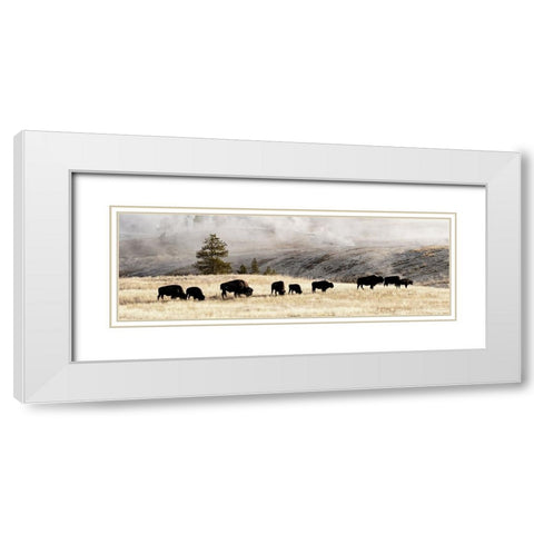 Heading Home White Modern Wood Framed Art Print with Double Matting by Delimont, Danita