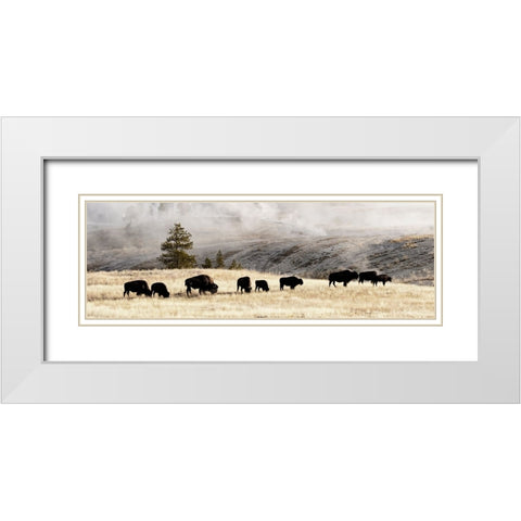 Heading Home White Modern Wood Framed Art Print with Double Matting by Delimont, Danita