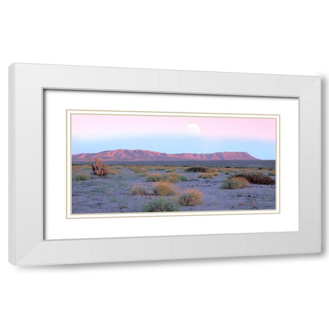 Vallenar Atacama Desert White Modern Wood Framed Art Print with Double Matting by Delimont, Danita