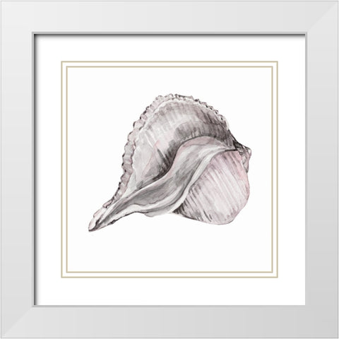 Blush Shell II White Modern Wood Framed Art Print with Double Matting by Robinson, Carol