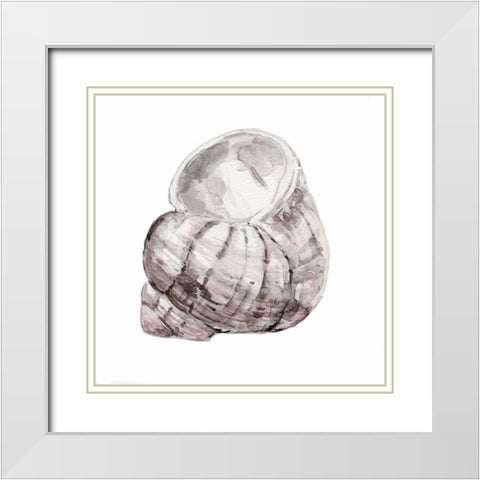 Blush Shell III White Modern Wood Framed Art Print with Double Matting by Robinson, Carol