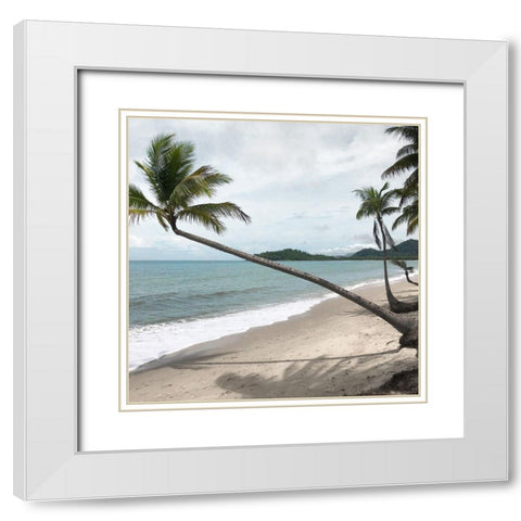 Leaning Palm White Modern Wood Framed Art Print with Double Matting by Robinson, Carol