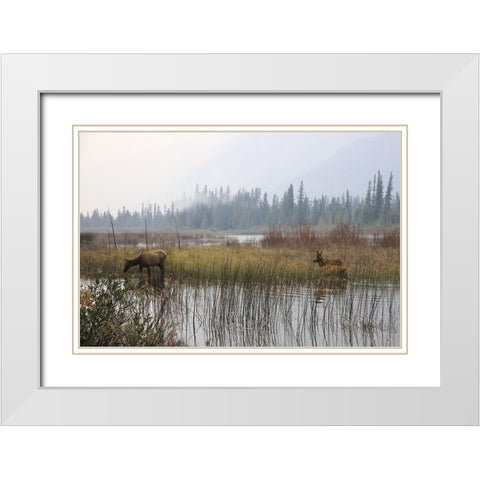 Out with the Twins White Modern Wood Framed Art Print with Double Matting by Robinson, Carol
