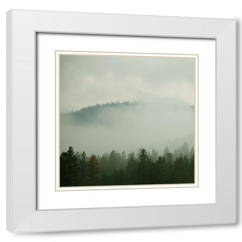 Verdant Country I White Modern Wood Framed Art Print with Double Matting by Robinson, Carol