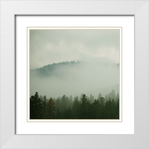 Verdant Country I White Modern Wood Framed Art Print with Double Matting by Robinson, Carol