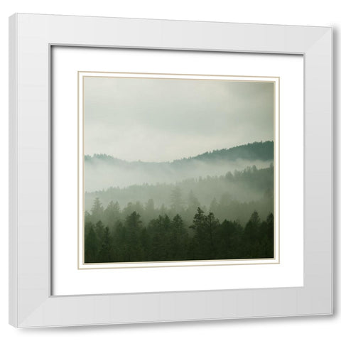 Verdant Country II White Modern Wood Framed Art Print with Double Matting by Robinson, Carol