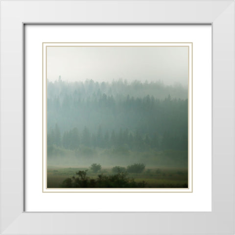 Lodge Country I White Modern Wood Framed Art Print with Double Matting by Robinson, Carol