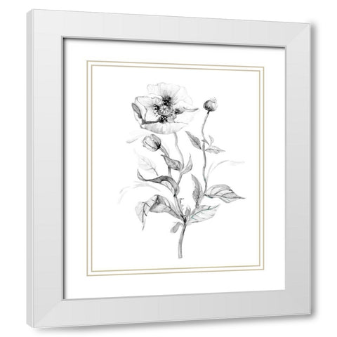 Wild Poppy White Modern Wood Framed Art Print with Double Matting by Robinson, Carol