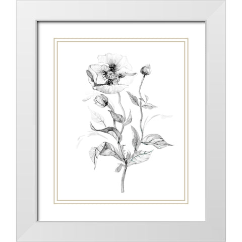 Wild Poppy White Modern Wood Framed Art Print with Double Matting by Robinson, Carol