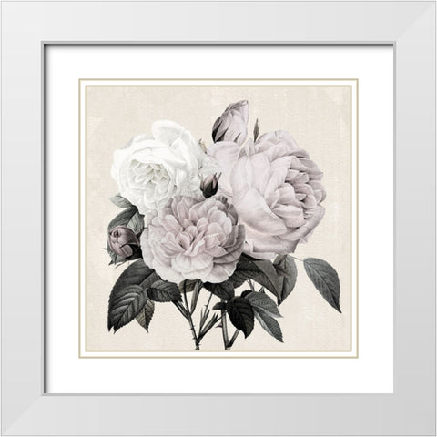 Botanical Arrangement I White Modern Wood Framed Art Print with Double Matting by Donovan, Kelly