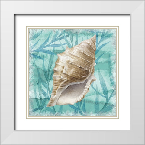 Shells Ashore II White Modern Wood Framed Art Print with Double Matting by Knutsen, Conrad