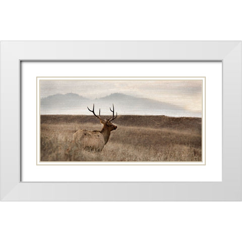 Now You See Me White Modern Wood Framed Art Print with Double Matting by Delimont, Danita