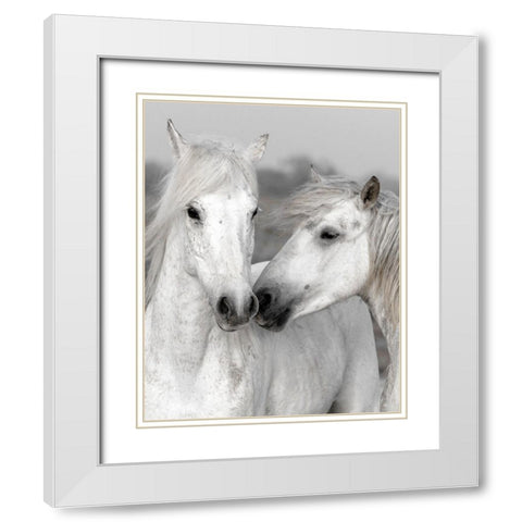 Affection I White Modern Wood Framed Art Print with Double Matting by Delimont, Danita