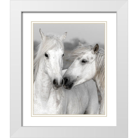 Affection I White Modern Wood Framed Art Print with Double Matting by Delimont, Danita